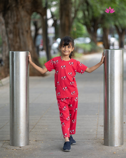 SURABHU 18 - KIDS NIGHTWEAR SET 2/3, 4/5 , 6/7 , 8/9, 10/11, 12/13 YEAR